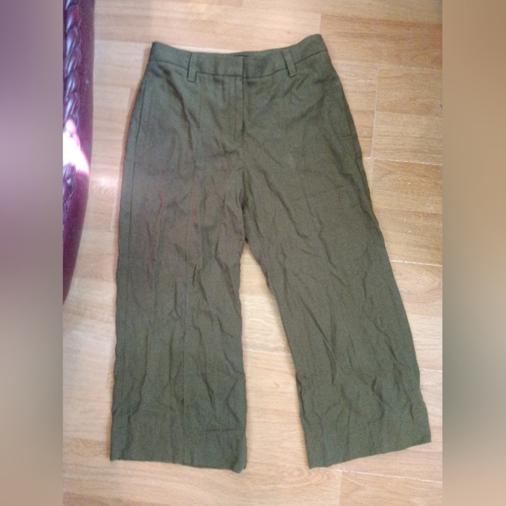 Ann Taylor Green Pants Size 4P Pre-owned